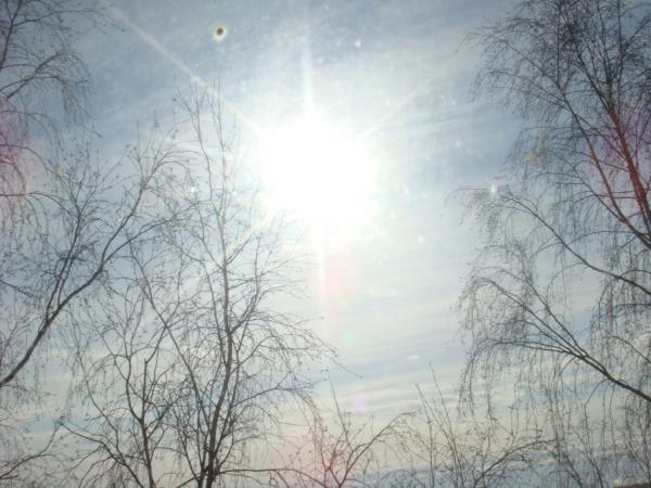 post-1279-003919400 1294345111_thumb.jpg