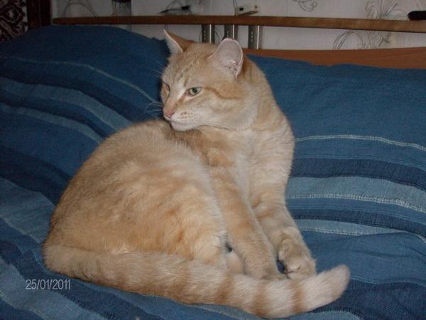 post-3164-001746800 1295974249_thumb.jpg