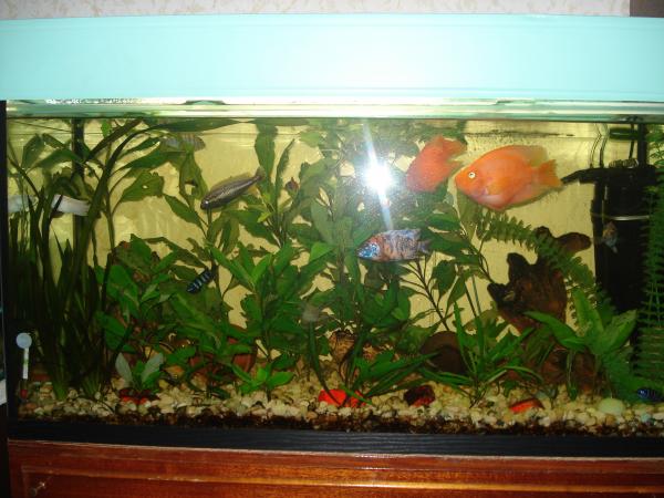 post-3197-074991200 1295704389_thumb.jpg