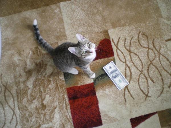 post-3250-051739100 1295126205_thumb.jpg