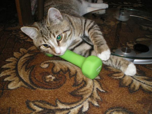 post-3250-060668400 1296029474_thumb.jpg