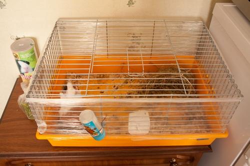 post-1403-000423900 1297503035_thumb.jpg