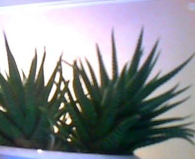 post-1858-055883900 1297264716_thumb.jpg