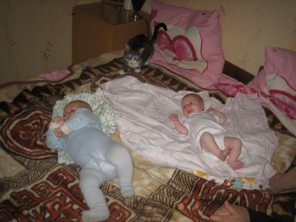 post-2362-014263700 1297755616_thumb.jpg