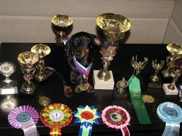 post-2960-065343300 1296726057_thumb.jpg