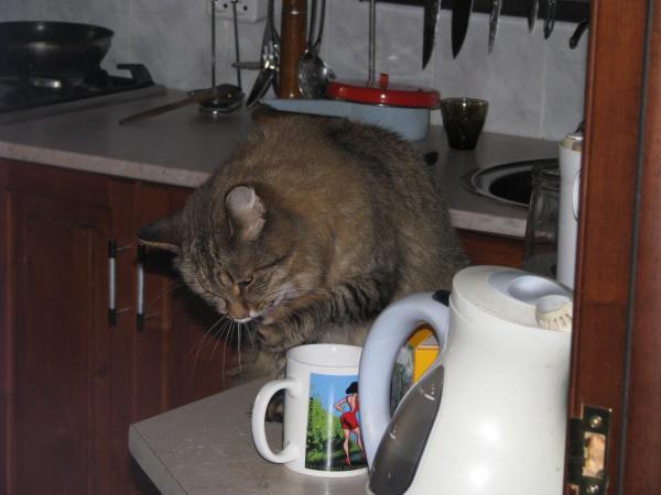 post-2960-094372100 1296728251_thumb.jpg