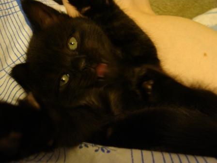 post-3070-014680100 1297328742_thumb.jpg