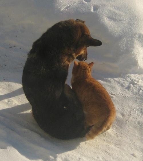 post-3535-047705000 1298805206_thumb.jpg