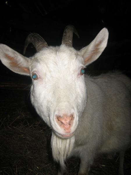 post-3535-059483300 1298897513_thumb.jpg