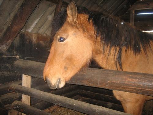 post-3535-091484900 1298896588_thumb.jpg