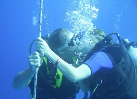 post-655-002818300 1296925204_thumb.jpg