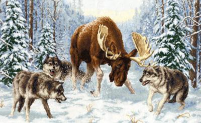 post-655-074536700 1297285200_thumb.jpg