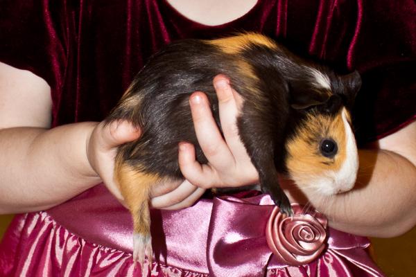 post-76-057366600 1297502814_thumb.jpg