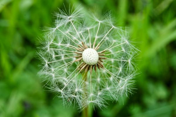 post-1668-073240000 1300882202_thumb.jpg