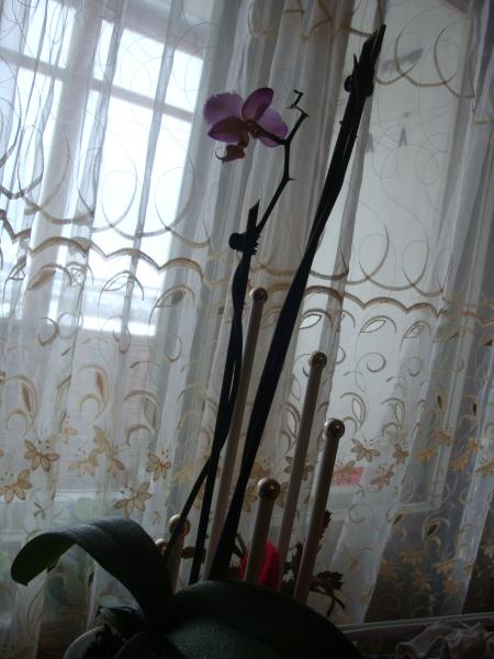 post-2255-082647400 1299576076_thumb.jpg