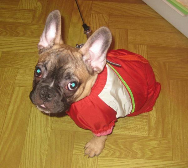 post-158-075652000 1302193462_thumb.jpg