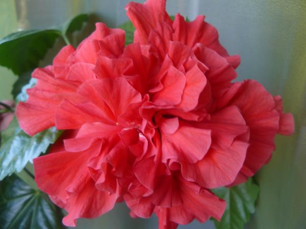 post-245-015861100 1303980892_thumb.jpg