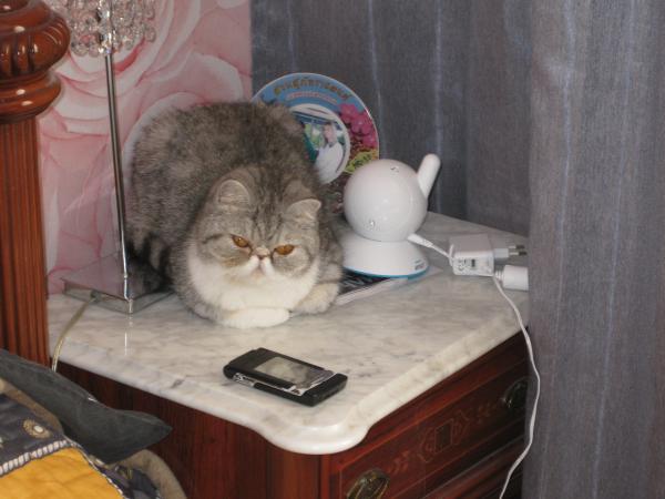 post-2575-039816500 1301864458_thumb.jpg