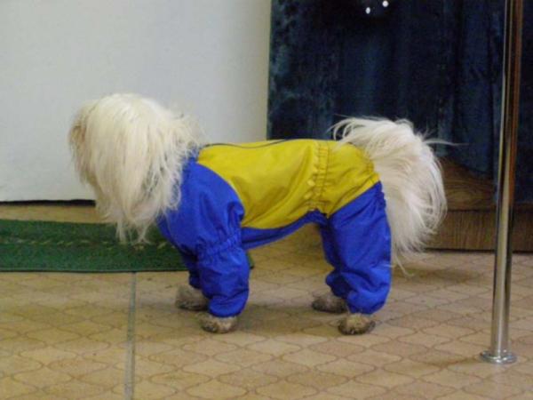 post-2613-002696600 1304161996_thumb.jpg