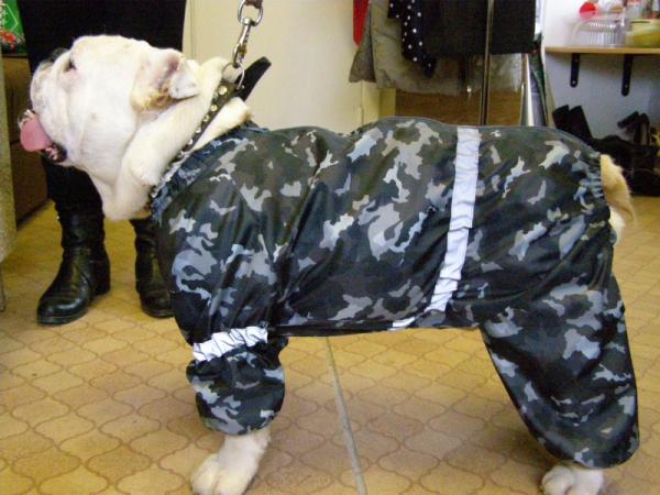 post-2613-058127500 1304162007_thumb.jpg