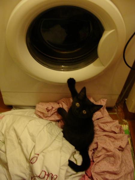 post-3070-061390100 1302346777_thumb.jpg