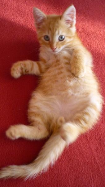 post-3489-034060100 1303465893_thumb.jpg