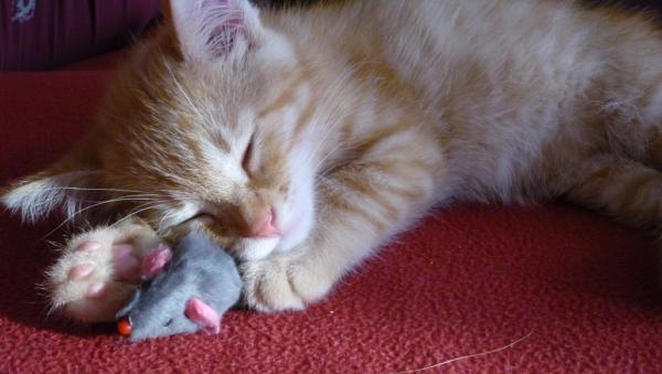 post-3489-052746100 1303465988_thumb.jpg