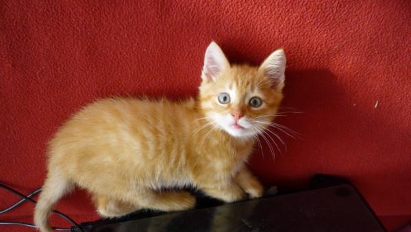 post-3489-056277600 1303465937_thumb.jpg