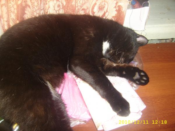 post-740-001745800 1302852899_thumb.jpg