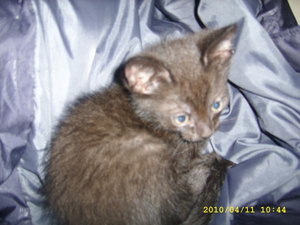 post-740-023412400 1302852703_thumb.jpg