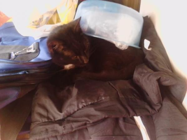 post-740-075502100 1303199526_thumb.jpg