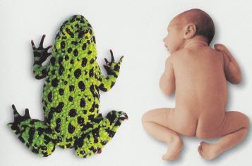 post-2181-019879400 1305458918_thumb.jpg