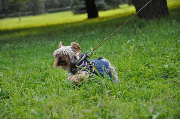 post-2331-077518000 1305296881_thumb.jpg