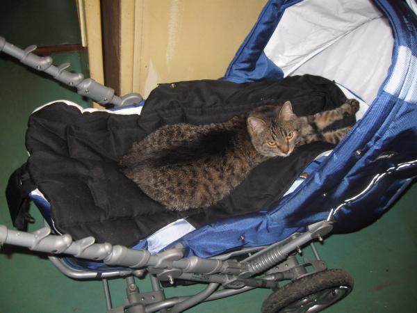 post-2563-089035900 1305916991_thumb.jpg