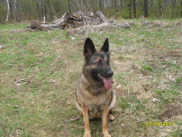 post-3038-002603500 1305956470_thumb.jpg