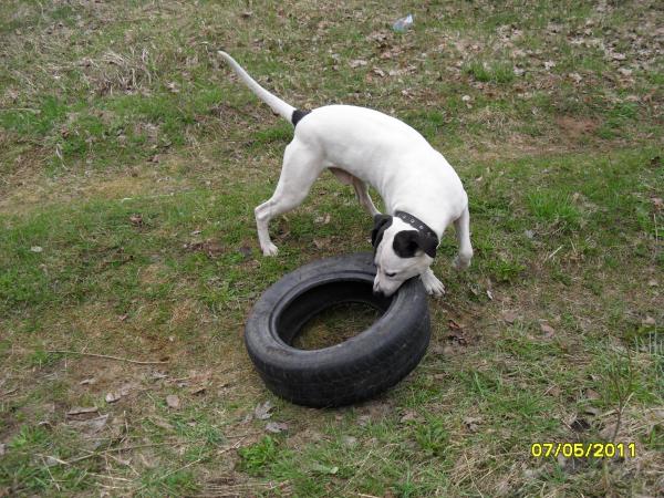 post-3038-015869600 1305641356_thumb.jpg