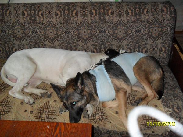 post-3038-086314500 1305956035_thumb.jpg