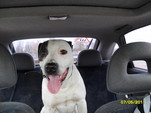 post-3038-086599400 1305956288_thumb.jpg