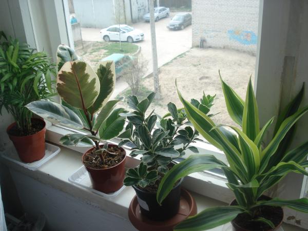 post-3197-005345300 1304424457_thumb.jpg