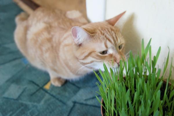 post-3489-021076000 1304942623_thumb.jpg