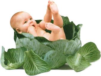 post-3489-029956500 1305487109_thumb.jpg