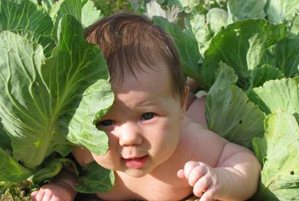 post-3489-084406700 1305487088_thumb.jpg