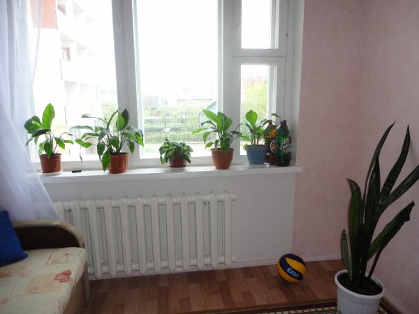 post-3698-093264600 1305634543_thumb.jpg