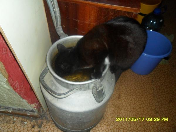 post-740-046007500 1305703365_thumb.jpg