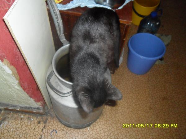 post-740-079652400 1305703437_thumb.jpg