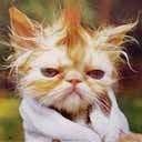 post-3196-016887800 1311878204_thumb.jpg