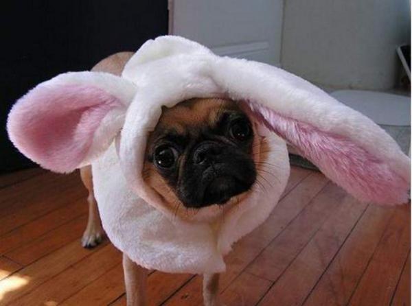 post-3196-049116500 1311878312_thumb.jpg