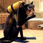 post-3196-082325200 1311022255_thumb.jpg