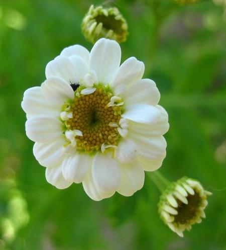 post-3535-063769500 1310066492_thumb.jpg