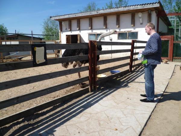 post-655-002559600 1309552714_thumb.jpg